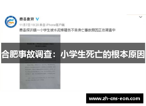 合肥事故调查:小学生死亡的根本原因
