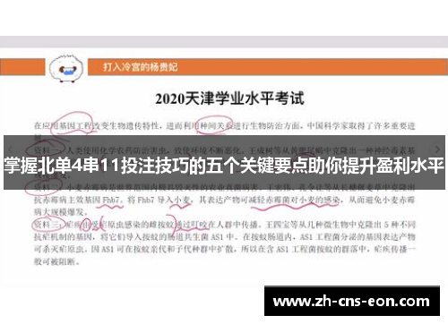 掌握北单4串11投注技巧的五个关键要点助你提升盈利水平